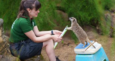 London Zoo conducts its annual weigh-in